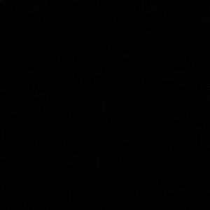 Meet your Posher, Arienna